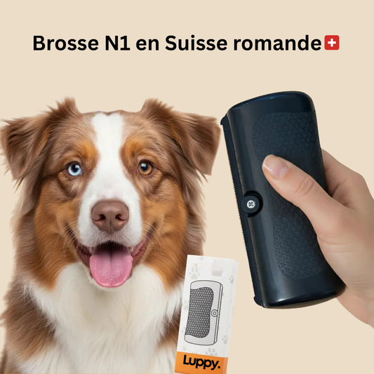 Brosse démêlante ergonomique
