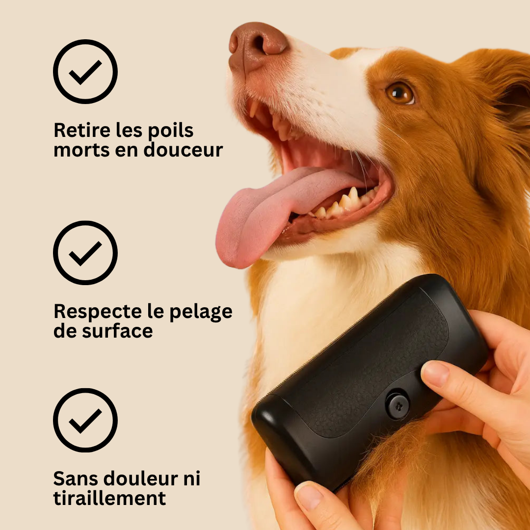 Brosse démêlante ergonomique